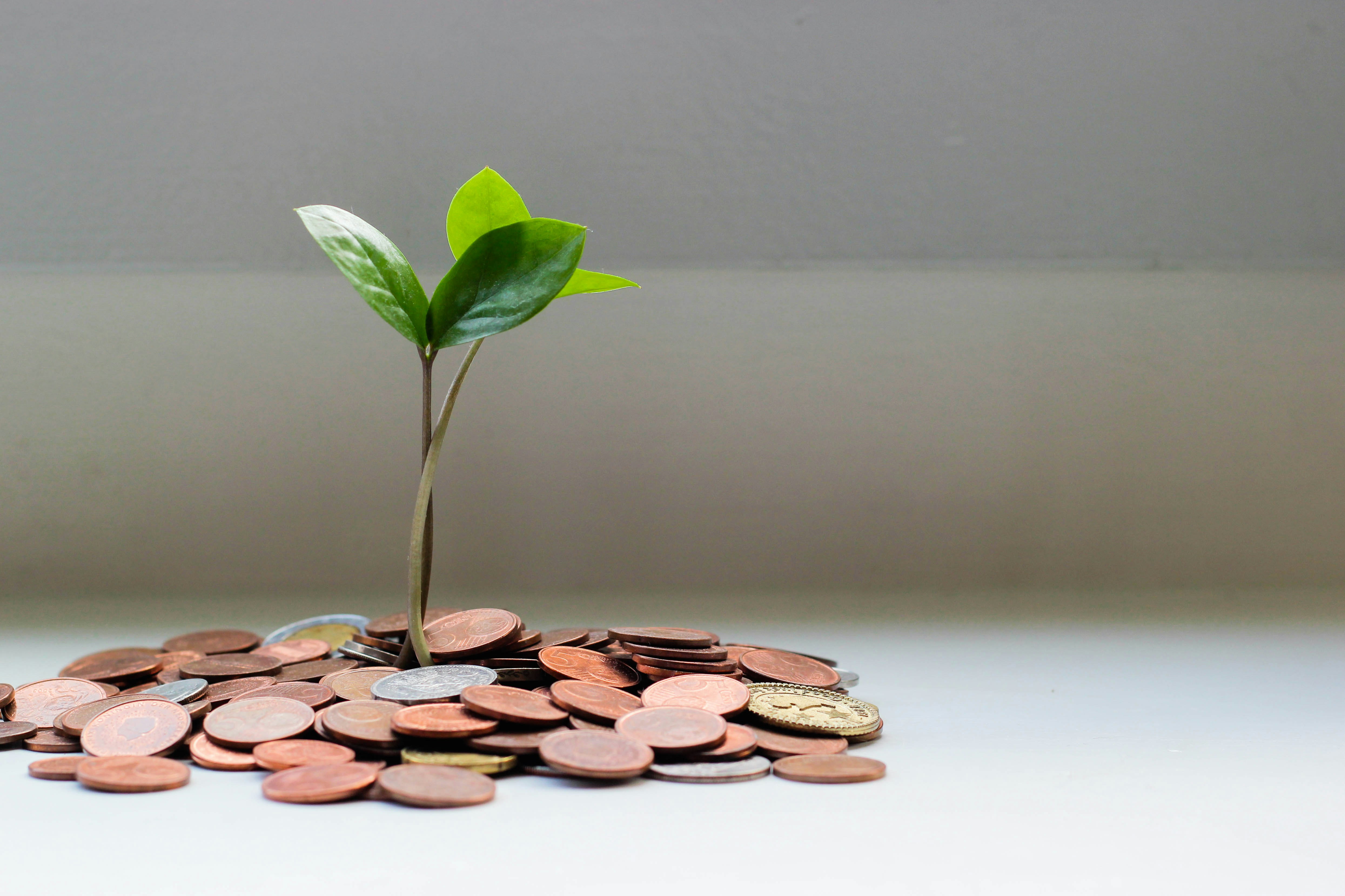 Micro-Loans